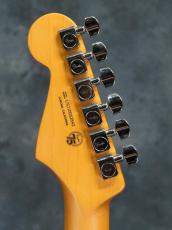 Fender American Professional II Stratocaster Dark Night(DNT) / Rosewood_11