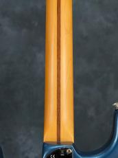 Fender American Professional II Stratocaster Dark Night(DNT) / Rosewood_13