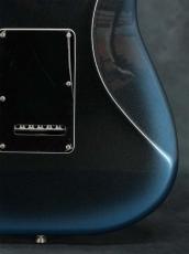Fender American Professional II Stratocaster Dark Night(DNT) / Rosewood_17
