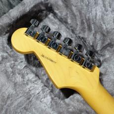 Fender American Professional II Stratocaster 2-Color Sunburst_9