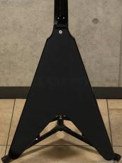 Edwards E-FV-LTD BK [Black]_5