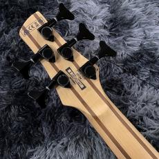Ibanez SR305EB-WNF (Walnut Flat)【限定特価】【SPOTモデル】【2025年NEWモデル】 【5弦ベース】_6