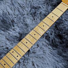 Bacchus TAC24AD-FMH RSM/M BLU-B -Univers Series- 【特価】_5