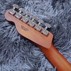 Fender FSR Acoustasonic Standard Telecaster, Arctic Gold_6
