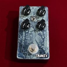TRINITY EFFECTS FLUID COMP