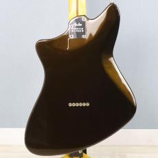 Fender American Ultra II Meteora Ebony Fingerboard Texas Tea【2024年製】_2