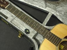Eastman E8D-TC_5
