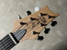 Paul Reed Smith [PRS] SE Silver Sky / Storm Gray【現物画像・3.40kg】_7