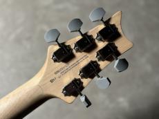 Paul Reed Smith [PRS] SE Silver Sky / Storm Gray【現物画像・3.40kg】_11