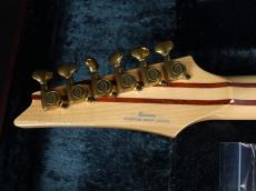 Ibanez IV1RG_10
