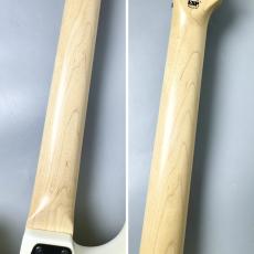 Edwards E-YELLOW TIGER -Yellow Tiger Graphic- 【GEORGE LYNCH】【美品中古】_9