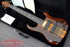 ALEMBIC Vector 6 string '89