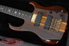 ALEMBIC Vector 6 string '89_2