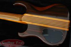 ALEMBIC Vector 6 string '89_3
