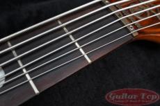 ALEMBIC Vector 6 string '89_5