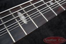 ALEMBIC Vector 6 string '89_6