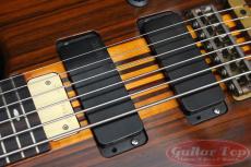 ALEMBIC Vector 6 string '89_7