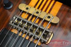 ALEMBIC Vector 6 string '89_8