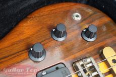 ALEMBIC Vector 6 string '89_9