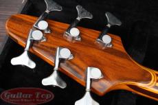 ALEMBIC Vector 6 string '89_13