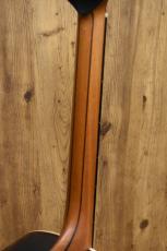 Lowden Custom F-35 IR/AD 50th Anniversary 【#18/120】【AAAAアディロン】_9