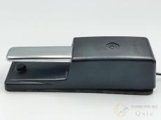 Roland DP-10 [TLR88]【箕面店在庫】_4
