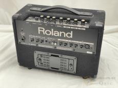 Roland KC-110 [TLN33]【梅田店在庫】_2