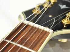 Aria Pro II FA-800 【返品OK】[NL239]【難波店在庫】_11