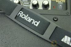 Roland MICRO CUBE BASS RX [TL276]【神戸店在庫】_8
