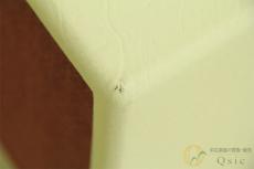 Blackstar DEBUT50R [TL671]【神戸店在庫】_8