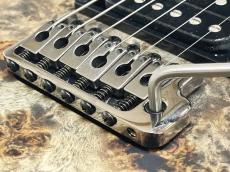 Paul Reed Smith [PRS] SE Custom 24-08 Poplar Burl Limited Edition  【返品OK】[TLR82]【箕面店在庫】_11