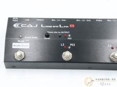 CUSTOM AUDIO JAPAN(CAJ) Loop and Link B [SM259]【神戸店在庫】_7