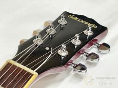 Edwards E-SA-125LTS 【返品OK】[TMR85]【箕面店在庫】_3