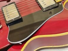 Edwards E-SA-125LTS 【返品OK】[TMR85]【箕面店在庫】_9