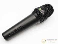 LEWITT MTP-250-DM [TM850]【神戸店在庫】