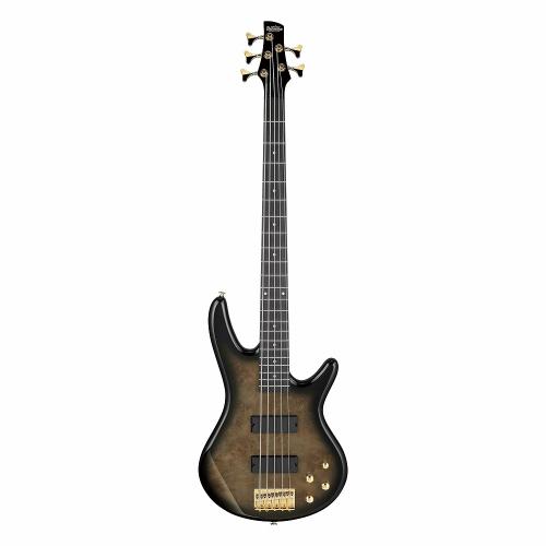 Ibanez GSR205PC TPB -Transparent Pale Black Burst-【オンラインストア限定】