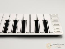 ESI Xkey Air 37 [SM100]【神戸店在庫】_7