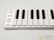 ESI Xkey Air 37 [SM100]【神戸店在庫】_8
