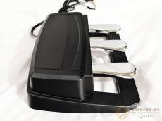 Roland RPU-3 [SMW10]【神戸店在庫】_3
