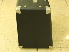 RIVERA Pubster 25 Combo [SM032]【神戸店在庫】_4