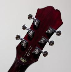 Epiphone Noel Gallagher Riviera -Dark Wine Red- #26021510842【3.99kg】_8