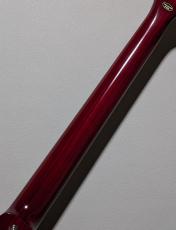 Epiphone Epiphone IGC 1963 Firebird I Reissue -Cherry- #26031526495【4.58kg】_9