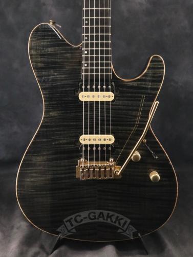 Sugi 2014 DS496E FM/AT/A-MAHO