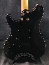 Sugi 2014 DS496E FM/AT/A-MAHO_5