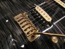 Sugi 2014 DS496E FM/AT/A-MAHO_15