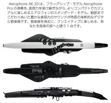 Roland Aerophone AE-20 │ WIND INSTRUMENTS_5