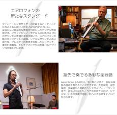 Roland Aerophone AE-20 │ WIND INSTRUMENTS_6