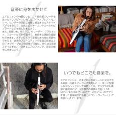 Roland Aerophone AE-20 │ WIND INSTRUMENTS_9