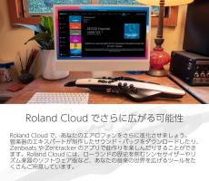Roland Aerophone AE-20 │ WIND INSTRUMENTS_11
