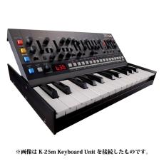 Roland JX-08 Sound Module_4